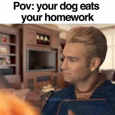 POV: Your dog eats your homework (ft. Homelander)
