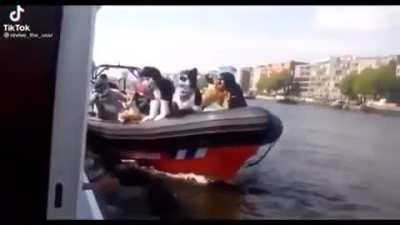 Furries in the water