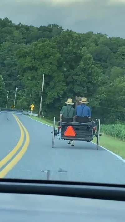 Horse runs Amish people off road
