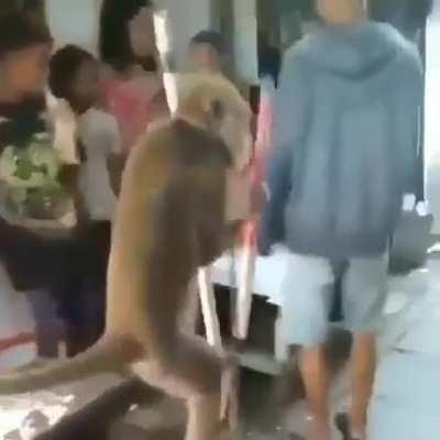 Aquí en la feria buscando el GTA Río bueno