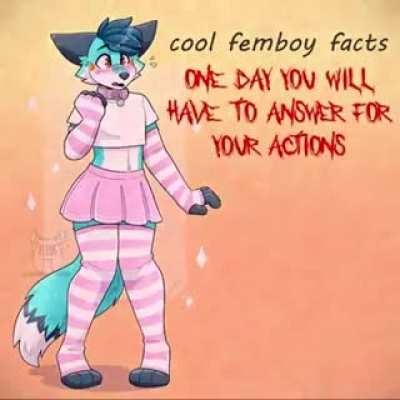 Femboys are great