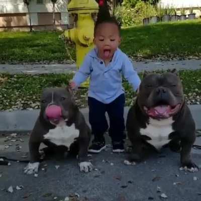 Toddler see Toddler do