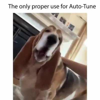 Winston puts it down