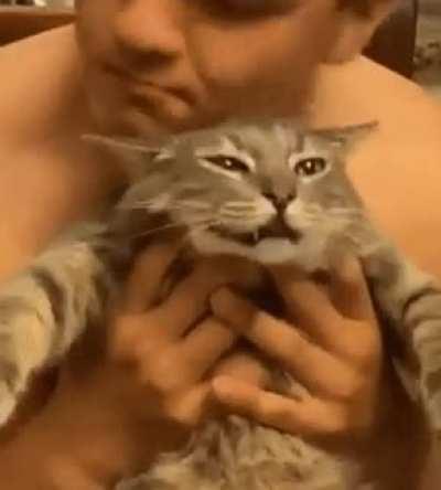 Cat is thinking .. You are So going to pay for this, Hooman!