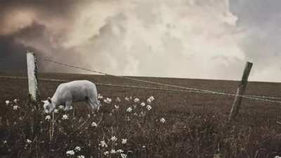 does anyone know the preset of the second synth in 18?