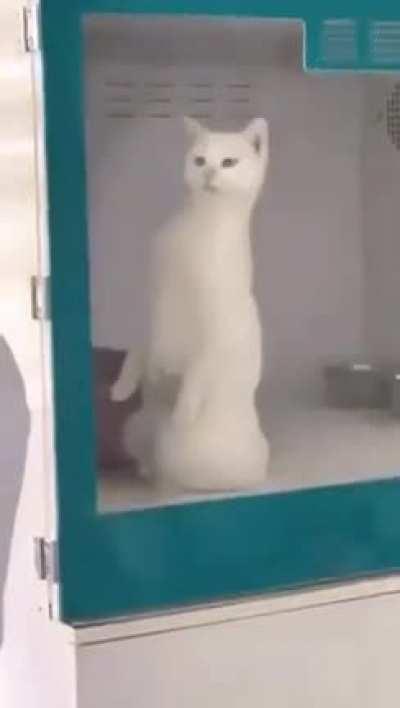 Just found about this sub and now its my favorite sub :D