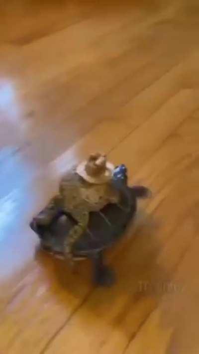 Sheriff mc toad: charges you on his stead while lashing out with his tongue and says howdy partner