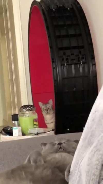 Тренировка