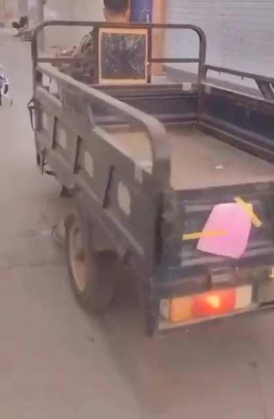 All in a day for this chicken