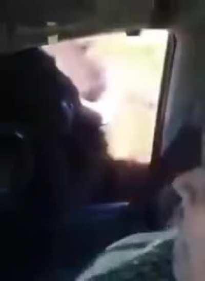 HMC while playing music in the wild