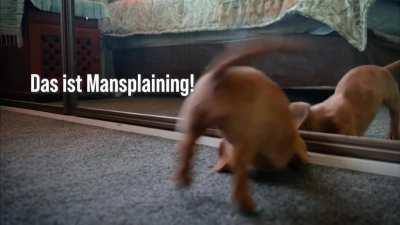 Antifa Baby Präsentation