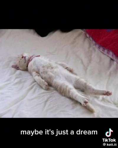 Last resort ahhh wunk