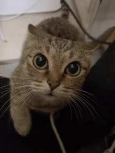 the sins of humanity shall not go unpunished 