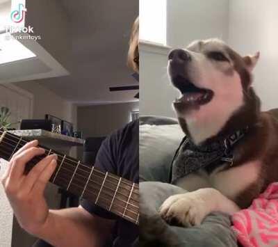 Hey, he sings better than me