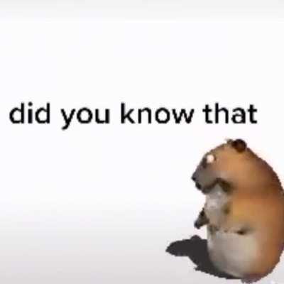 did you know that