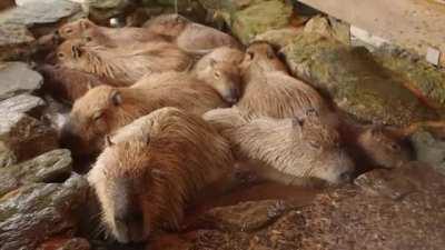 We pull up later, now we chill