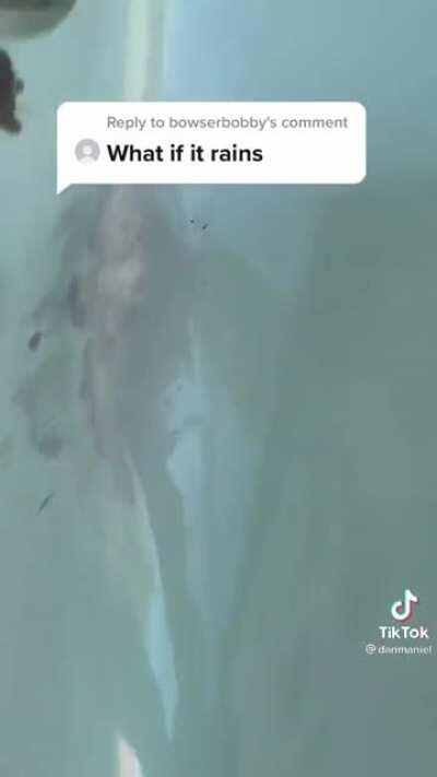 What if it rains?😳