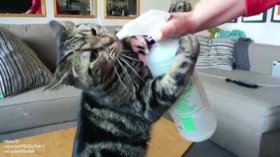 Water bowl just doesn't taste the same