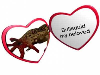 bullsquid is love bullsquid is life