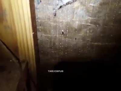 Somewhere in Australia.....spiders