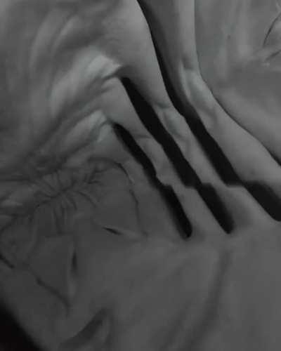 Shark swallows insta360 camera