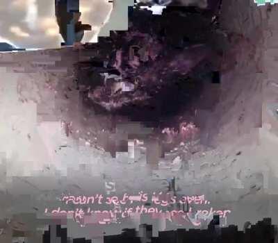 Спасли котенка после 4 дней мяуканья о помощи