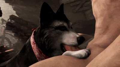 Doggy licking and sucking a cock