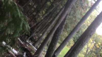 Falling out of a hunting chair in the woods