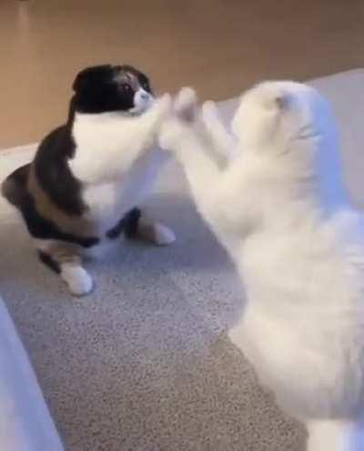 Theory of mortal combat