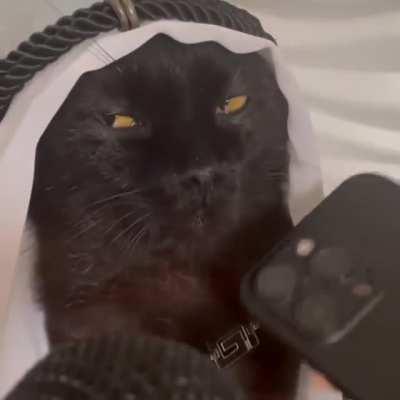 Котошейх покинул пресс-конференцию