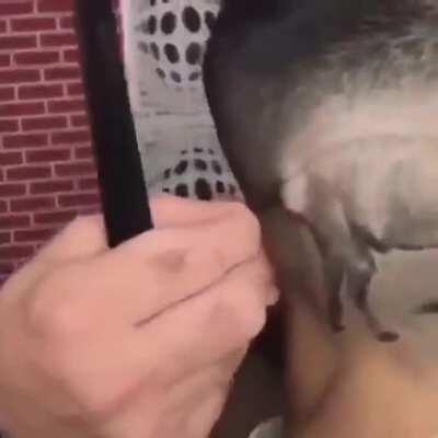 this guys haircut!