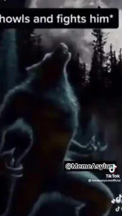 I don't even know what the f*ck happened but it happened