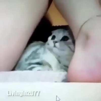 Traumatized pussy