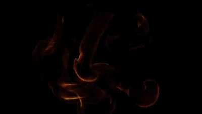 Absolutely smoked jack