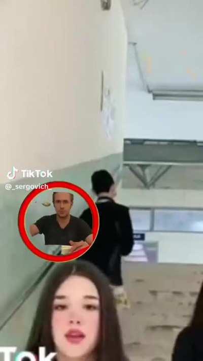 el verdadero gato con capucha