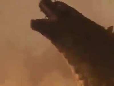 Godzilla vs King Kong 2.0