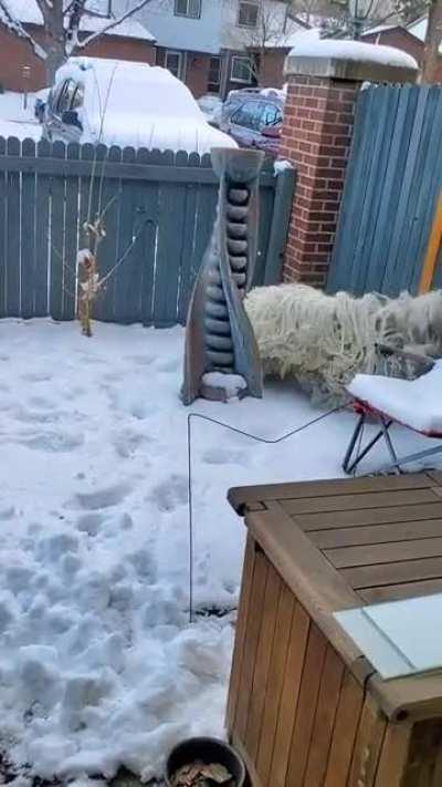 When the mop gets thrown in the washer