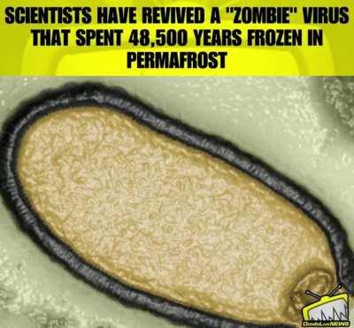 Kill all sons of bitches, that’s my official instructions