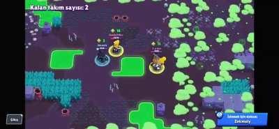 Never play with your food