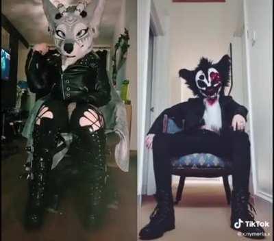 I hate full fursuit and I hate when they show skin too, there’s no right way to furry 🙀