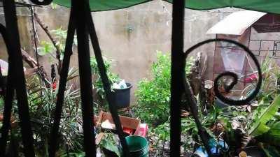 The storm is coming now.