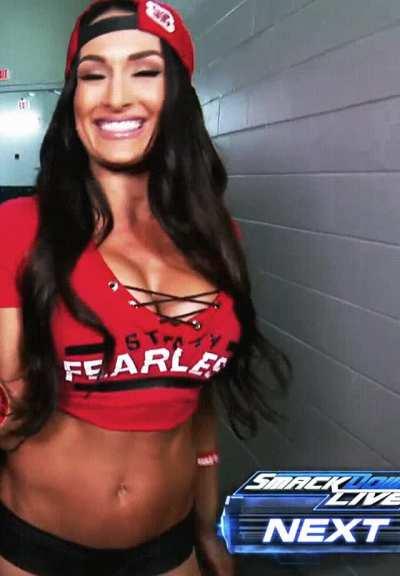 Nikki Bella in 2016. The abs. The tits. Her body was fucking insane.