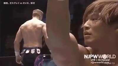 HMB while I flip your flip