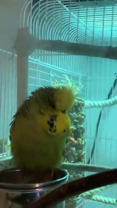 🍐Groosha have discovered them healing powers of humidifier while listening to Enya