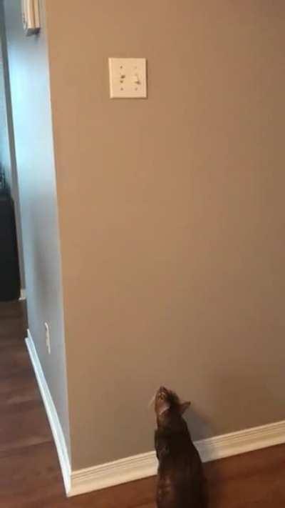 Whenever she see’s me turning on the light…