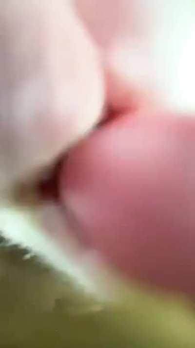 POV: you are a rabbit’s food bowl