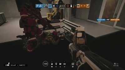 A random wanted to show me his Maestro he found out in the wild