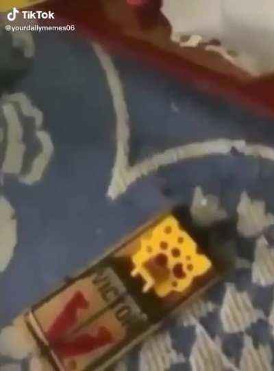 Don’t touch the cheese