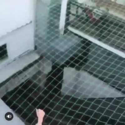 The social media changes the gender.