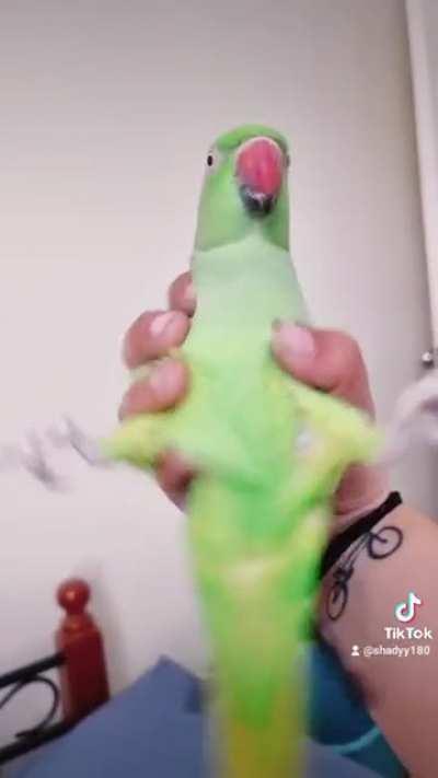 💕She Said Yes💕🥰